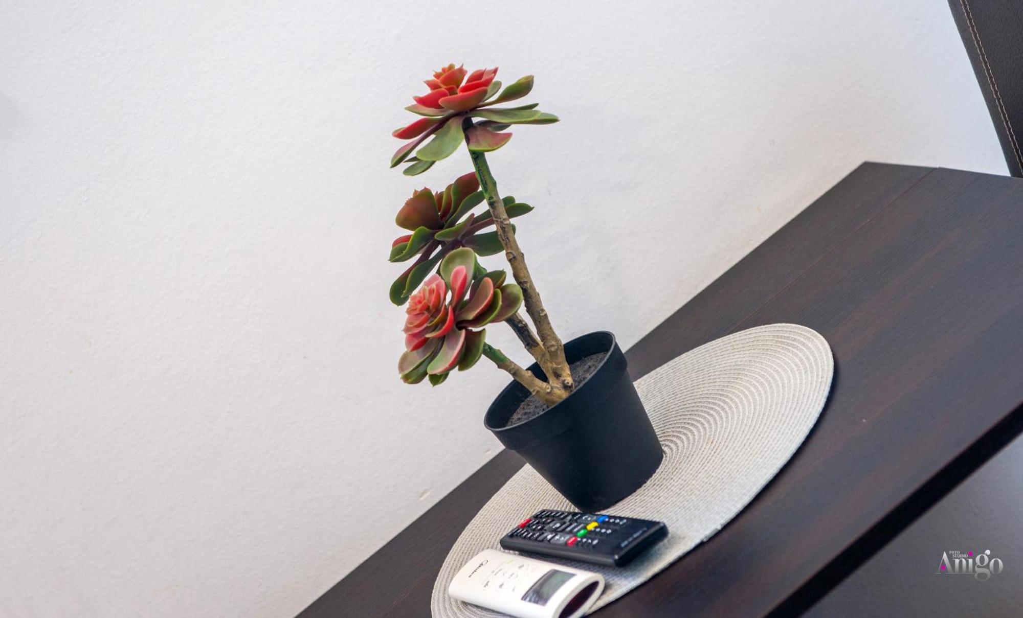 Apartments Enigma - With Private Parking Mostar Esterno foto